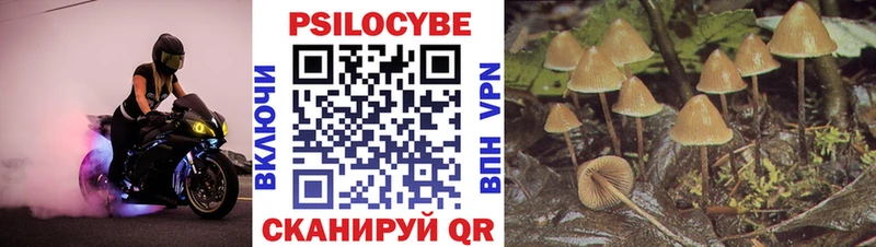 где продают наркотики  Дудинка  MEGA зеркало  Галлюциногенные грибы прущие грибы 