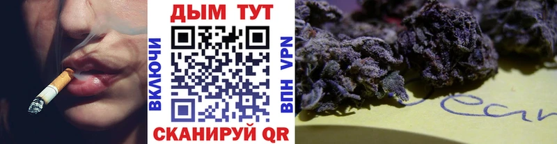 Бошки марихуана Amnesia  дарнет шоп  Дудинка 
